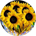 Josselyn Mayorga profile picture