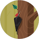 Angelica Angelica profile picture