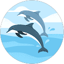 Zulzila Viera profile picture